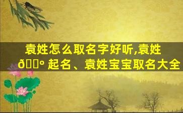 袁姓怎么取名字好听,袁姓 🐺 起名、袁姓宝宝取名大全